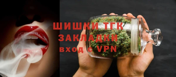 шишки Ладушкин