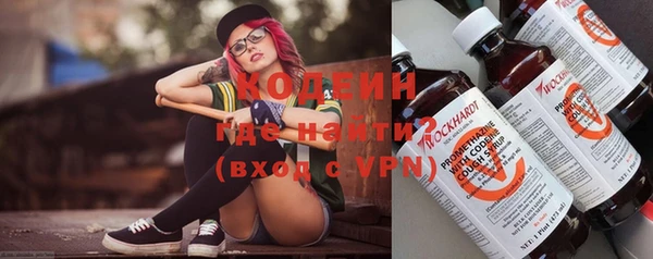 шишки Ладушкин