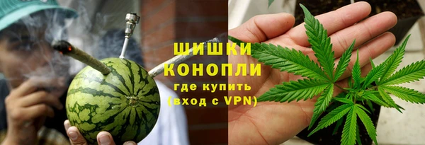шишки Ладушкин